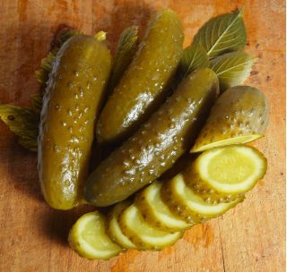 Cucumber Wisconsin SMR 58 seeds - Cucumis sativus - 250 seeds