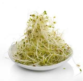 Semillas que brotan - Brotes ricos en vitamina B - Juego de 9 piezas + sprouter con 3 bandejas - 