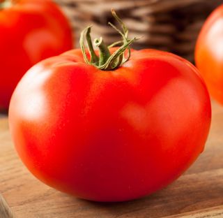Tomate - Octawian F1 - serre - Lycopersicon esculentum Mill  - graines