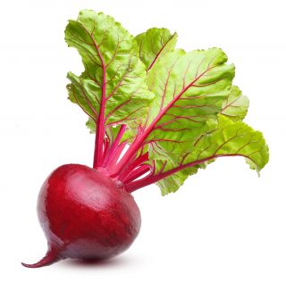 Củ cải đường "Astar" - lý tưởng cho nước ép và cô đặc - 500 hạt - Beta vulgaris