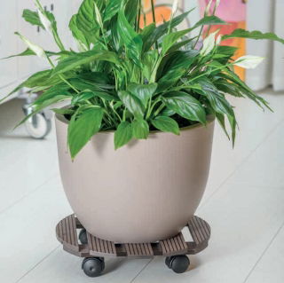 Rund plantekasse, stor planterulle - 30 cm - brun - 