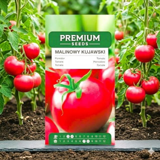 Tomato raspberi "Kujawski" - Lycopersicon esculentum Mill  - benih