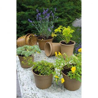 Robuste und umweltfreundliche BIO-Blumentöpfe - ø 15 cm, 12 cm hoch - 3 Stück - 