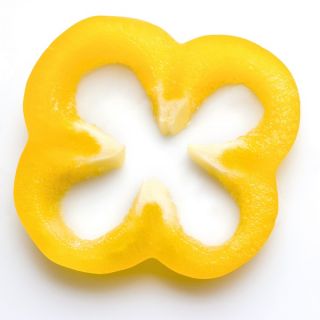 Semená sladkej papriky Marta Polka - Capsicum annuum - 80 semien - Capsicum L.