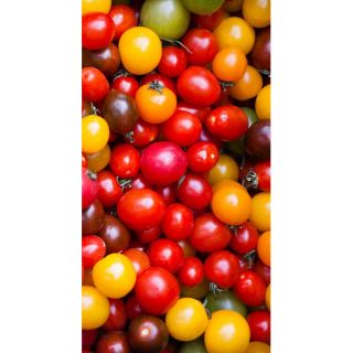Tomate cherry - amestec de culori - Aspect de curcubeu, cu gust dulce - Semințe proaspete