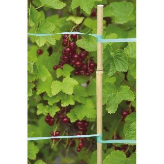 Bird repellent tape - 33 metres