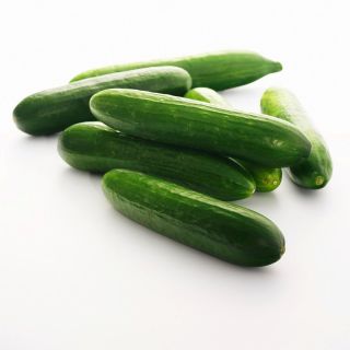 Pepino - Tessa - 105 sementes - Cucumis sativus