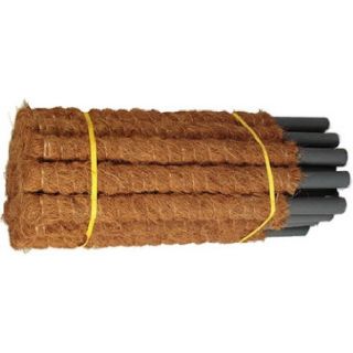 Kokospalm steunpaal - 25 mm / 60 cm - 