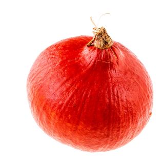 Jättepumpa - Potimarron - 15 frön - Cucurbita maxima