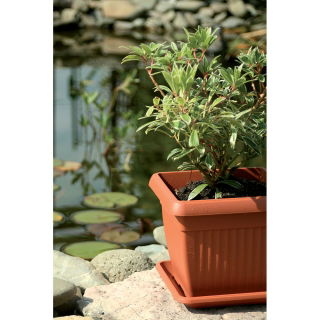 Vierkante bloembak "Terra" buiten 15 cm met schotel - terracottakleurig - 