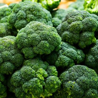 Brokkoli Cezar Samen - Brassica oleracea convar botrytis - 600 Samen