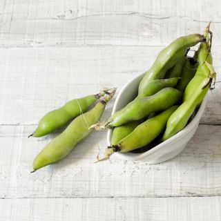 Bob zahradní - Karmazyn - Vicia faba - Perfektní na mrazení, syrové i vařené - Čerstvá semena