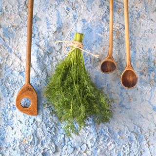 Aneth - Ambrozja - Herbe aromatique, facile à cultiver - Graines fraîches