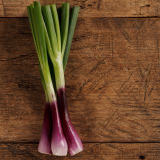 Allium fistulosum - 900 frø - rød