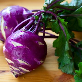 Purple Kohlrabi Alka seeds - Brassica oler convar. acephala var. gongylodes - 520 seeds