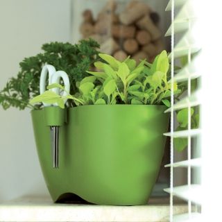 Hrnec s bylinkami, kulatý - Limes Dublo - 25 x 12 cm - bílý - 