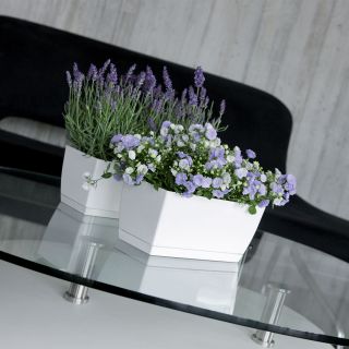 Vaso rettangolare con piattino - Coubi - 24 x 12 cm - Bianco - 