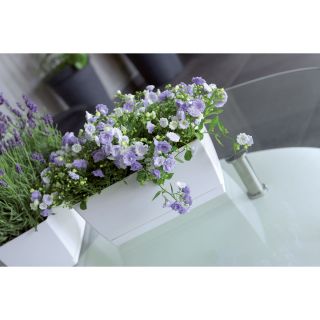 Vaso rettangolare con piattino - Coubi - 24 x 12 cm - Bianco - 