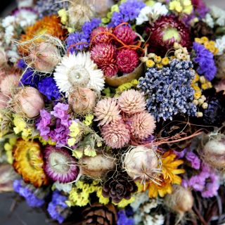 Amestec pentru buchete uscate - Creare de aranjamente florale spectaculoase - Semințe proaspete