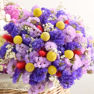 Amestec pentru buchete uscate - Creare de aranjamente florale spectaculoase - Semințe proaspete