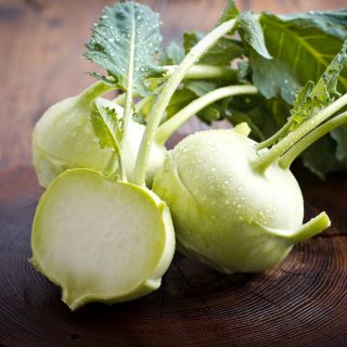 Kohlrabi Delikates weisser Samen - Brassica oleraceae var. Gongylodes - 520 Samen