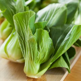 Använda - Pak - Choi - 500 frön - Brassica rapa subsp. chinensis