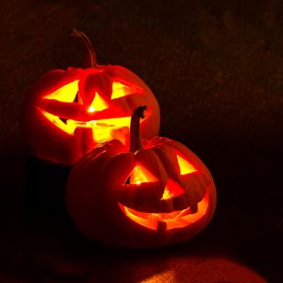 Dísztök - Jack O'Lantern - Hatalmas tökök – Halloween legszebbjei - Friss vetőmagok