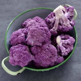 Květák - Di Sicilia Violetto - Zářivá fialová pro neodolatelné pokrmy - Čerstvá semena