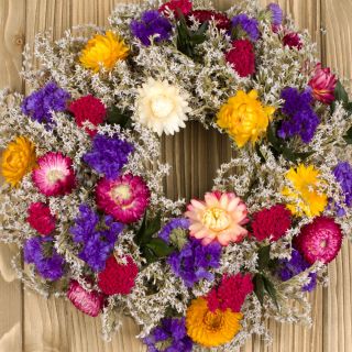 Amestec pentru buchete uscate - Creare de aranjamente florale spectaculoase - Semințe proaspete