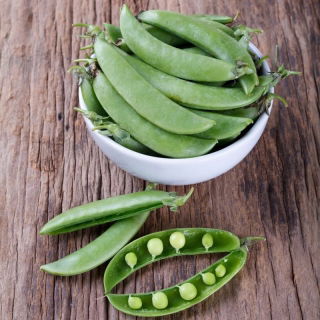 Kacang "Zazrak Kelvedon" - 150 biji - Pisum sativum - benih