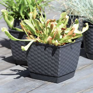 Fyrkantig blomkruka med fat - Ratolla - 24 cm - Mocca - 