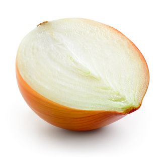 Cibuľa "Výstava" - sladká a veľká odroda, cibule do 2 kg - 250 semien - Allium cepa L. - semená