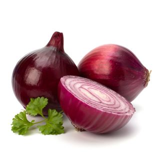 Lilahagyma - Karmen - Édes íz, frissen vagy főzve is tökéletes! - Friss vetőmagok