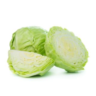 Weißkohl  'Pierwszy Zbiór - Erste Ernte' 