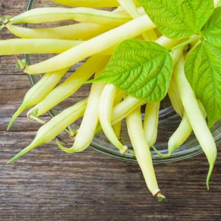 Fréjol - Fructidor - BIO - Phaseolus vulgaris L. - semillas