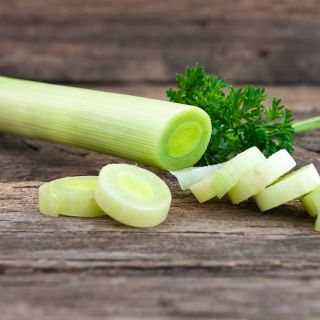 Porro - Bartek - 320 semi - Allium ampeloprasum L.