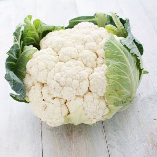 Cavolfiore - Early Snowball X - 270 semi - Brassica oleracea L. var.botrytis L.