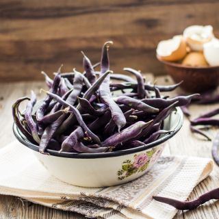 Brechbohne 'Purple Teepee' - Samen 