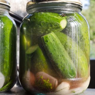 Timun "Aladyn F1" - bidang, pelbagai penjerukan - 110 biji - Cucumis sativus - benih