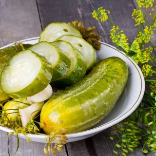 Timun "Aladyn F1" - bidang, pelbagai penjerukan - 110 biji - Cucumis sativus - benih