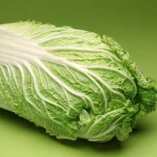 纳帕白菜“国会大厦” - 大头 -  86粒种子 - Brassica pekinensis Rupr. - 種子