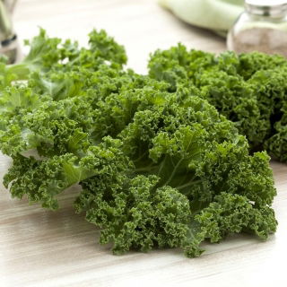 Kale "Vitessa" - pale green, medium tall - 600 seeds
