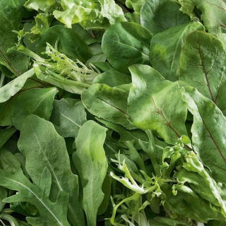 Savurarea selecției de plante medicinale -  - semințe