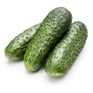 Gurka - Izyd - 250 frön - Cucumis sativus