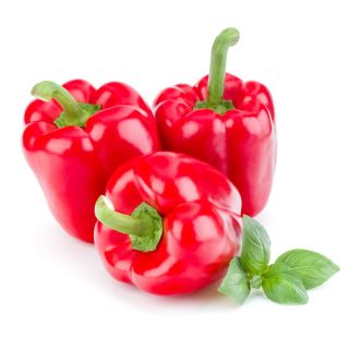 Paprikát - Ożarowska - édes - 90 magok - Capsicum L.