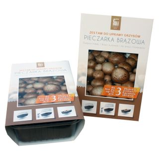 Champignon - 3l - Agaricus bisporus