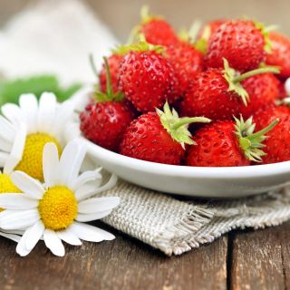 Dâu tây hoang dã "Rujana" dâu rừng, dâu tây Alps, Dâu Carpathian, dâu tây châu Âu, fraisier des bois - 640 hạt - Fragaria vesca