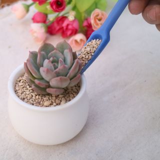 Pricking out tool set