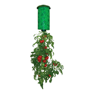 Pot suspendu pour la culture de tomates, paprika et concombres - 