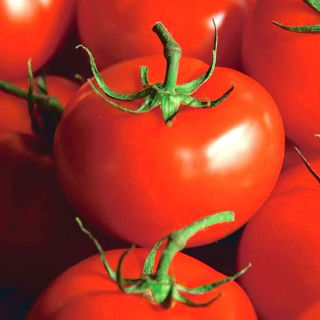 Tomate - Ondraszek - Lycopersicon esculentum Mill  - sementes